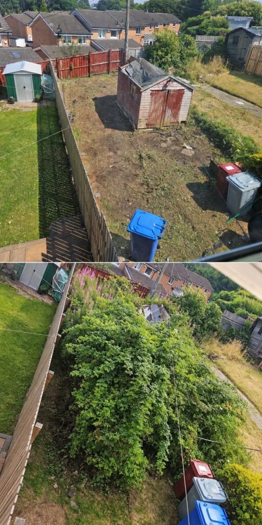 Garden Clearance