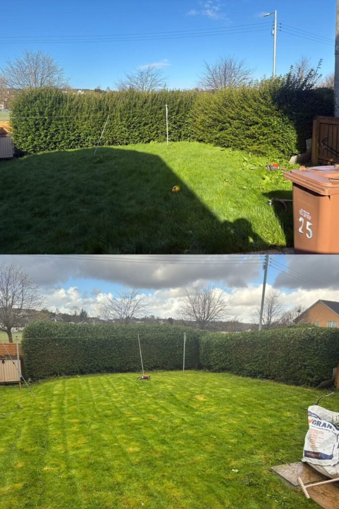 Hedge Trim & Reduction