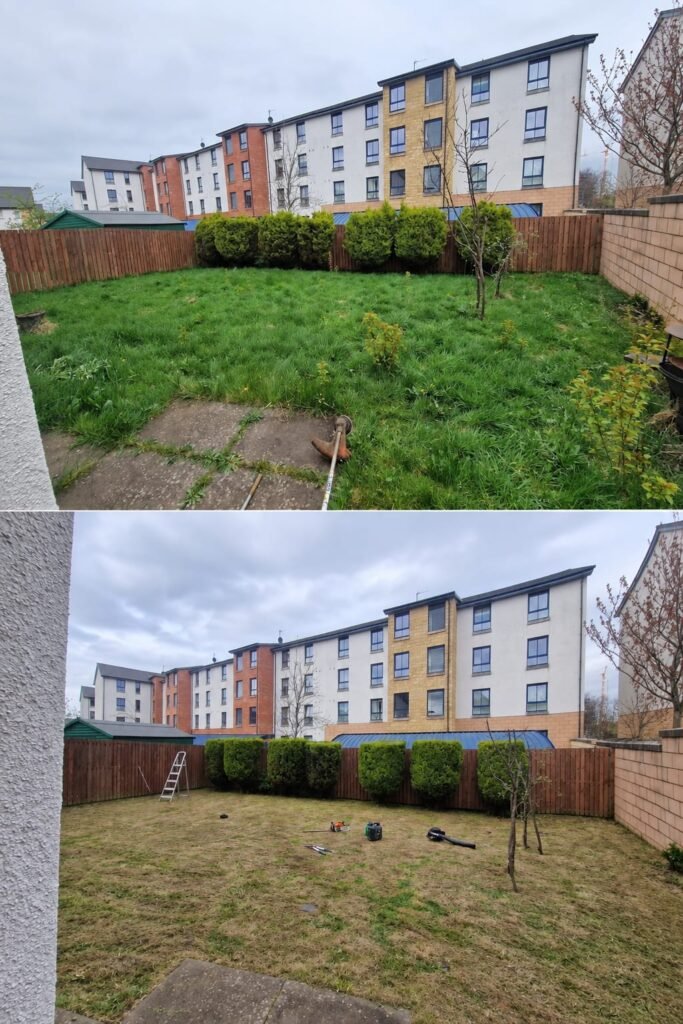 Hedge Trim & Reduction