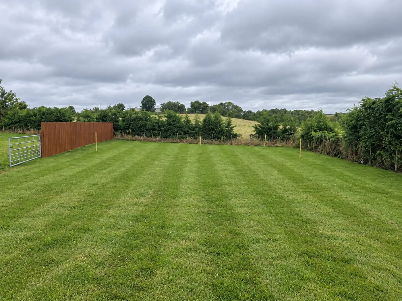 Large striped lawn maintained by Glasgow Lawn Maintenance