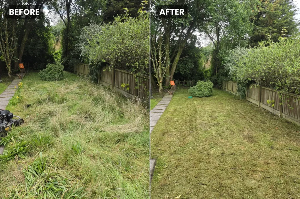 Garden Clearances