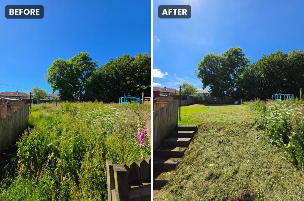 Garden Clearances