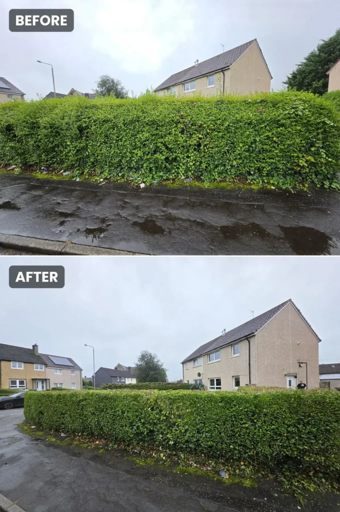Hedge Trim & Reduction