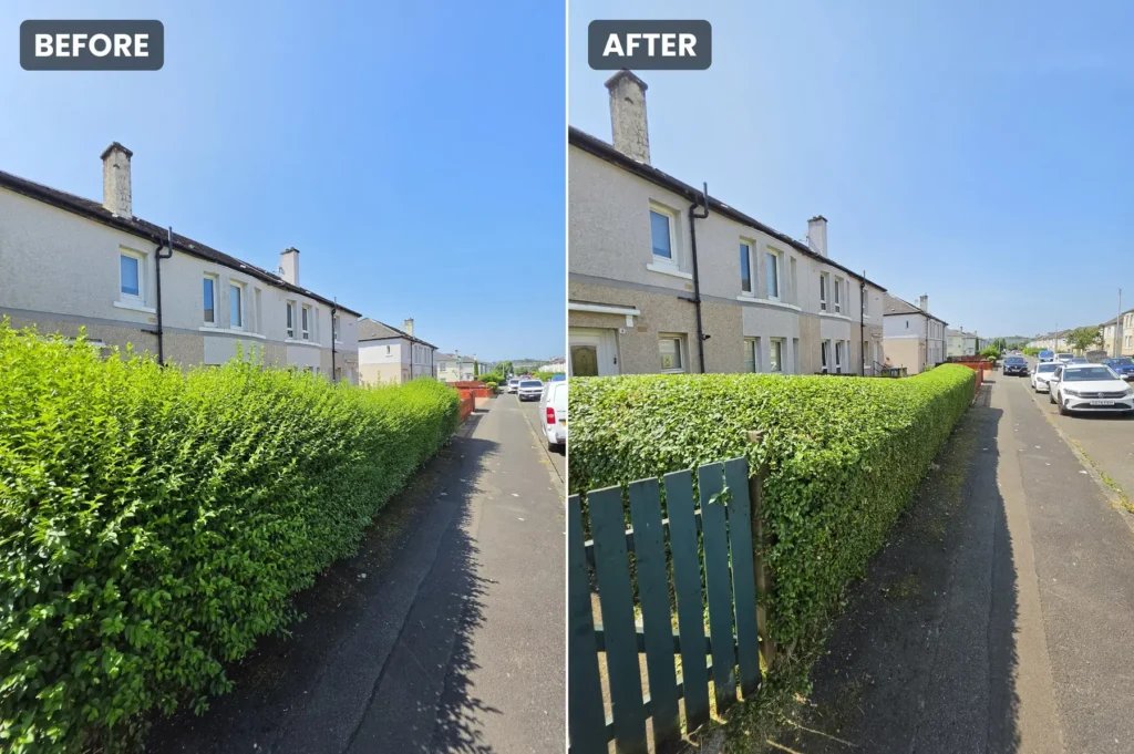 Hedge Trim & Reduction