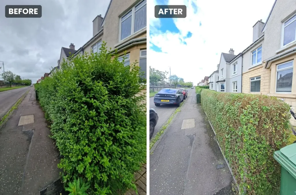Hedge Trim & Reduction