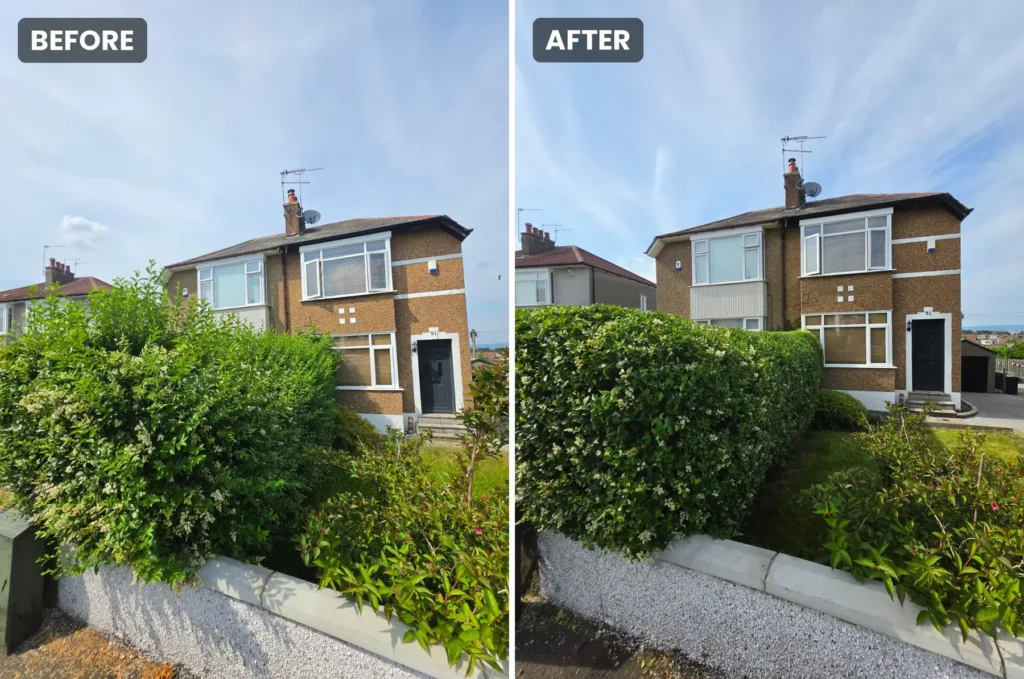 Hedge Trim & Reduction