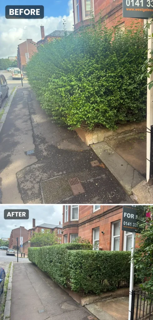 Hedge Trim & Reduction