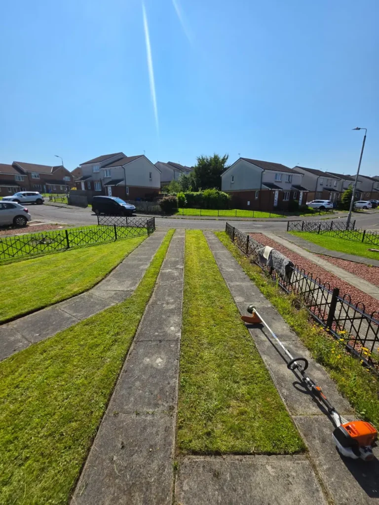 Lawn Mowing