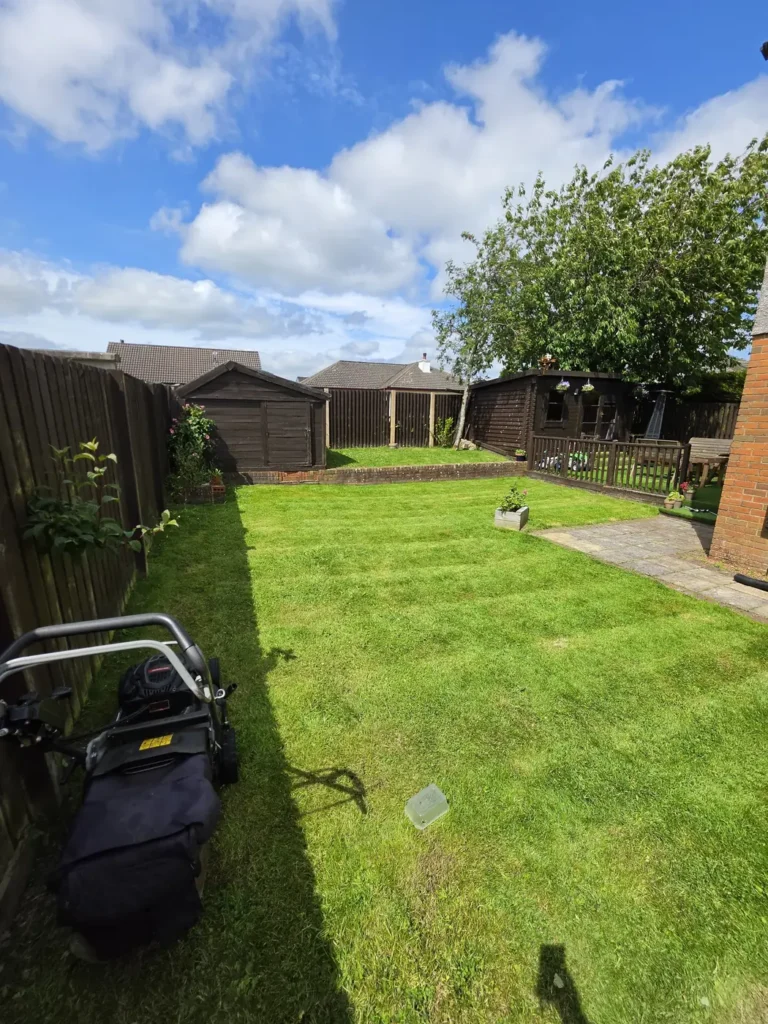 Lawn Mowing