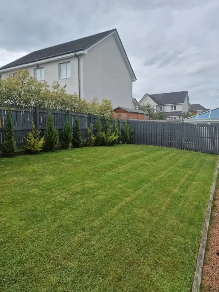 Lawn Mowing