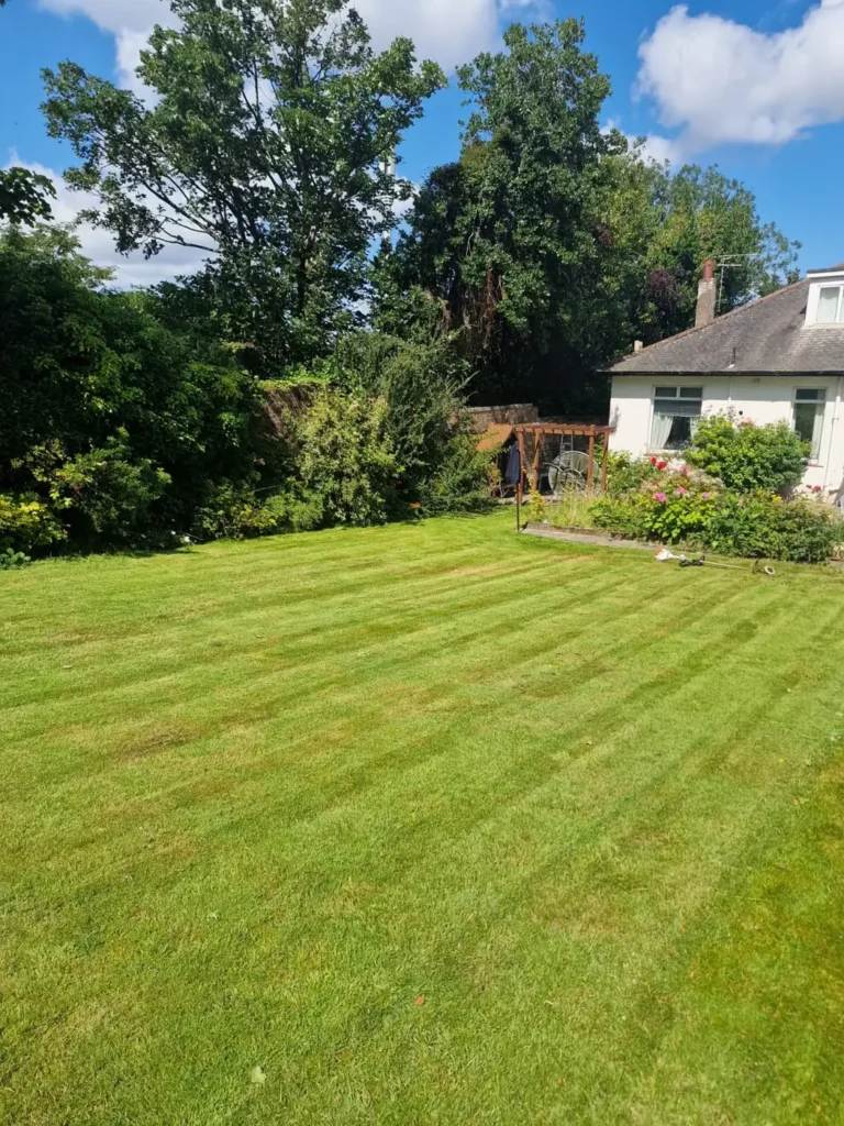 Lawn Mowing