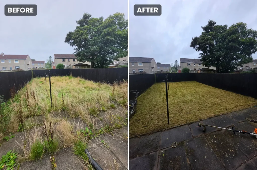 Lawn Mowing