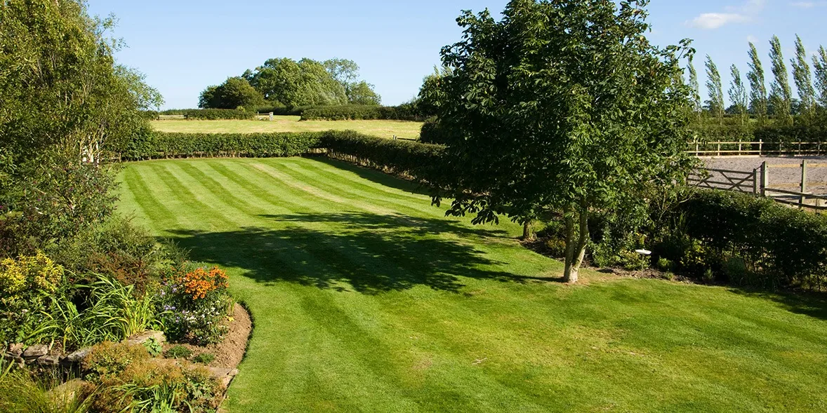 Large striped lawn bordered by hedges and trees in East Dunbartonshire near Milton of Campsie
